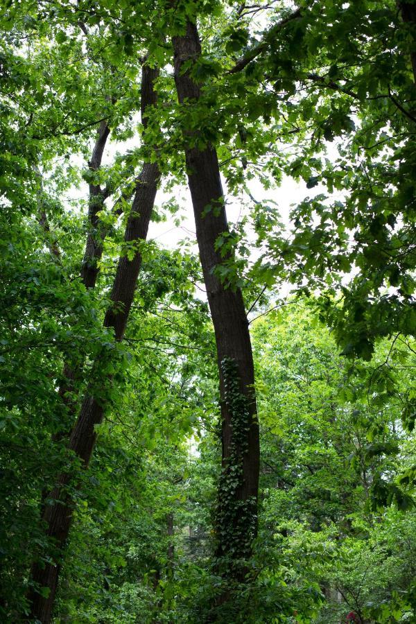 Buitenplaats Petersburg アーネム エクステリア 写真